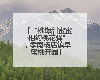 “桃缘甜蜜蜜·相约桃花驿”，孝南杨店镇早蜜桃开园