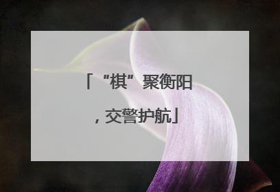 “棋”聚衡阳，交警护航