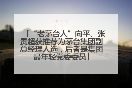 “老茅台人”向平、张贵超获推荐为茅台集团副总经理人选，后者是集团最年轻党委委员
