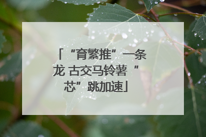 “育繁推”一条龙 古交马铃薯“芯”跳加速