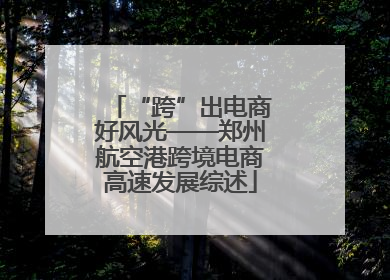 “跨”出电商好风光——郑州航空港跨境电商高速发展综述