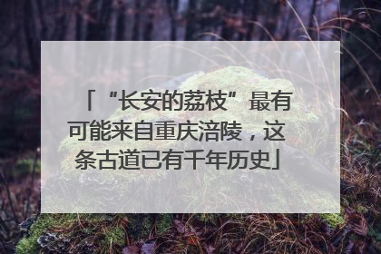 “长安的荔枝”最有可能来自重庆涪陵，这条古道已有千年历史