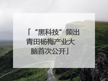 “黑科技”频出 青田杨梅产业大脑首次公开