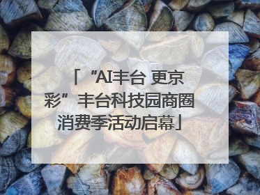 “AI丰台 更京彩”丰台科技园商圈消费季活动启幕