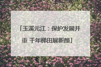 玉溪元江：保护发展并重 千年梯田展新颜