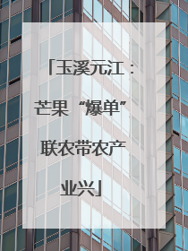 玉溪元江：芒果“爆单” 联农带农产业兴