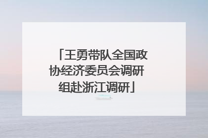 王勇带队全国政协经济委员会调研组赴浙江调研
