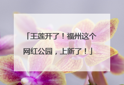 王莲开了！福州这个网红公园，上新了！