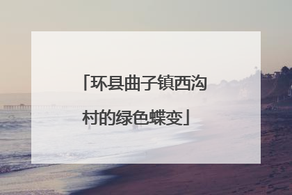 环县曲子镇西沟村的绿色蝶变