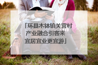 环县木钵镇关营村 产业融合引客来 宜居宜业更宜游