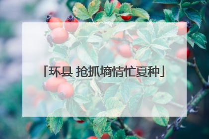 环县 抢抓墒情忙夏种