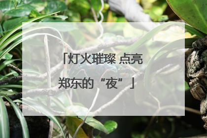 灯火璀璨 点亮郑东的“夜”