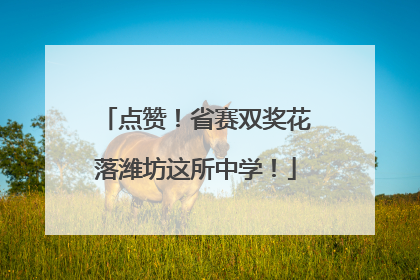 点赞！省赛双奖花落潍坊这所中学！