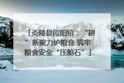 炎陵县霞阳镇：“耕”新聚力护粮仓 筑牢粮食安全“压舱石”