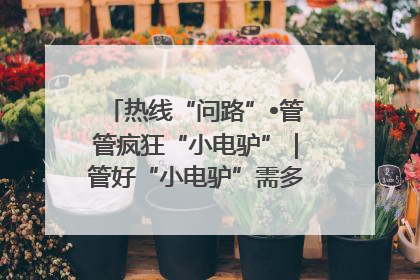 热线“问路”•管管疯狂“小电驴”｜管好“小电驴”需多部门形成合力
