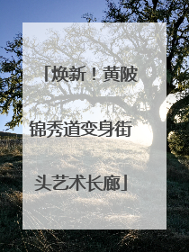 焕新！黄陂锦秀道变身街头艺术长廊
