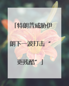 特朗普威胁伊朗下一波打击“更残酷”