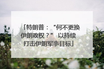 特朗普：“何不更换伊朗政权？” 以持续打击伊朗军事目标