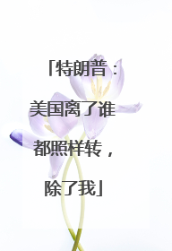 特朗普：美国离了谁都照样转，除了我