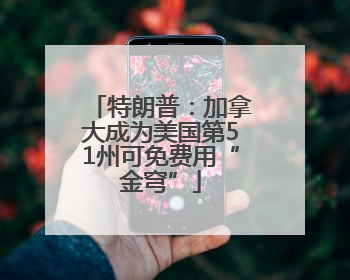 特朗普：加拿大成为美国第51州可免费用“金穹”