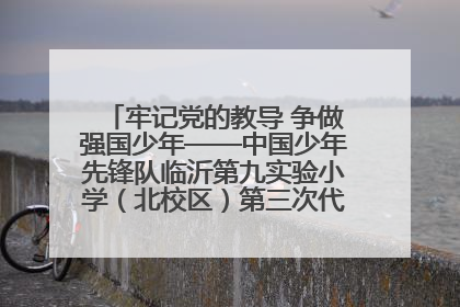 牢记党的教导 争做强国少年——中国少年先锋队临沂第九实验小学（北校区）第三次代表大会胜利召开