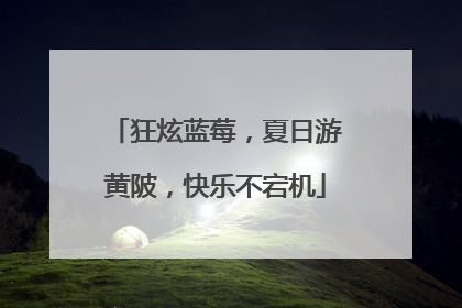 狂炫蓝莓，夏日游黄陂，快乐不宕机