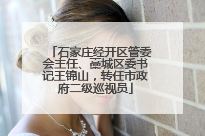 石家庄经开区管委会主任、藁城区委书记王锦山，转任市政府二级巡视员
