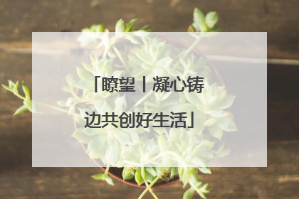 瞭望丨凝心铸边共创好生活