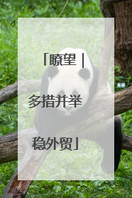 瞭望｜多措并举稳外贸