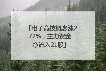 电子竞技概念涨2.72%，主力资金净流入21股
