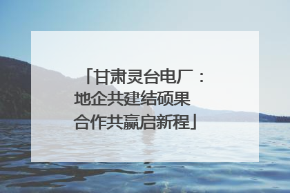 甘肃灵台电厂：地企共建结硕果 合作共赢启新程