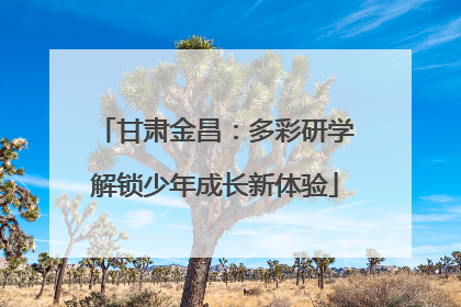 甘肃金昌：多彩研学解锁少年成长新体验