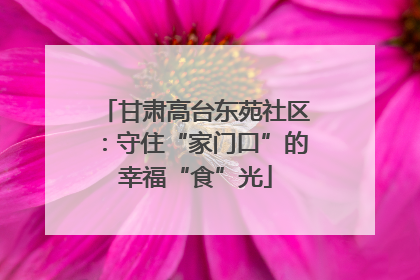 甘肃高台东苑社区：守住“家门口”的幸福“食”光