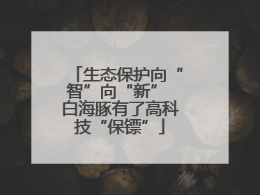 生态保护向“智”向“新” 白海豚有了高科技“保镖”
