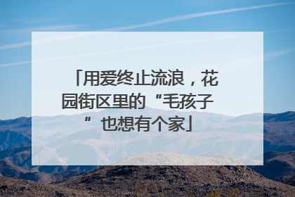 用爱终止流浪，花园街区里的“毛孩子”也想有个家