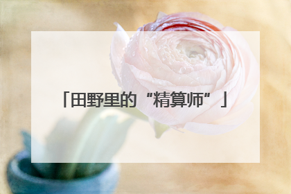 田野里的“精算师”