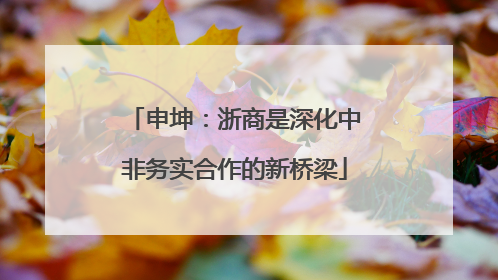 申坤：浙商是深化中非务实合作的新桥梁