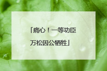 痛心！一等功臣万松因公牺牲