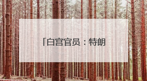 白宫官员：特朗普没打算与马斯克交谈，不感兴趣，准备卖掉早前购买的特斯拉