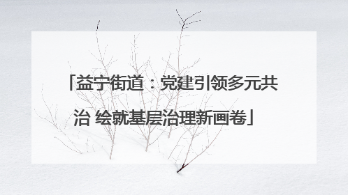 益宁街道：党建引领多元共治 绘就基层治理新画卷