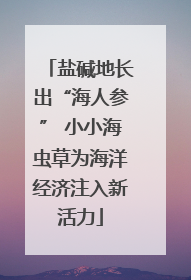 盐碱地长出“海人参” 小小海虫草为海洋经济注入新活力