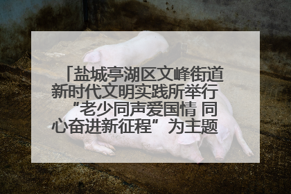 盐城亭湖区文峰街道新时代文明实践所举行“老少同声爱国情 同心奋进新征程”为主题的红色文化活动