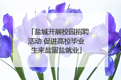 盐城开展校园招聘活动 促进高校毕业生来盐留盐就业