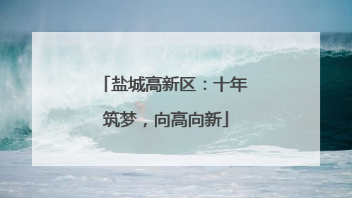 盐城高新区：十年筑梦，向高向新