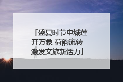 盛夏时节申城莲开万象 荷韵流转激发文旅新活力
