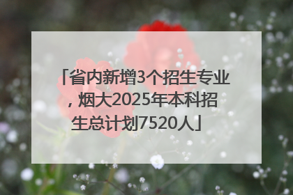 省内新增3个招生专业，烟大2025年本科招生总计划7520人