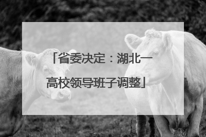 省委决定：湖北一高校领导班子调整