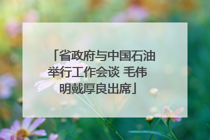 省政府与中国石油举行工作会谈 毛伟明戴厚良出席