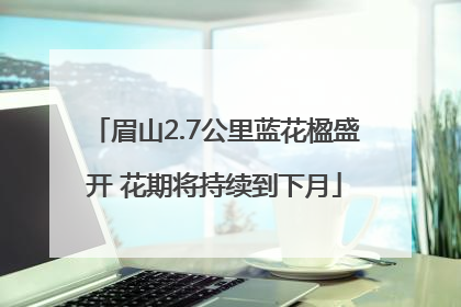 眉山2.7公里蓝花楹盛开 花期将持续到下月