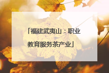 福建武夷山：职业教育服务茶产业